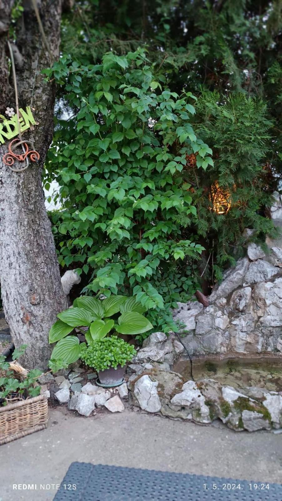 Ferienwohnung Happy Star Ni Exterior foto
